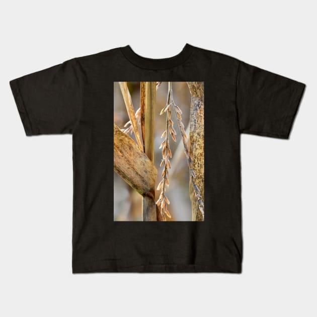 Corn Stalk details Kids T-Shirt by LaurieMinor